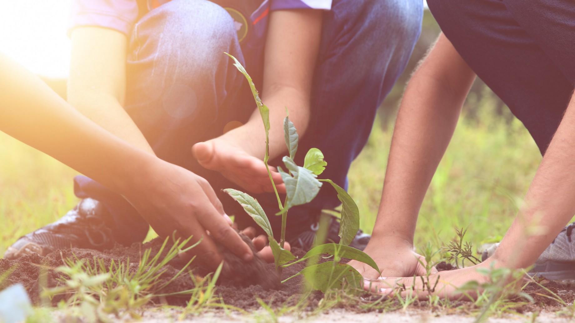 Por qué la naturaleza es la mejor herramienta para enfrentar el cambio climático